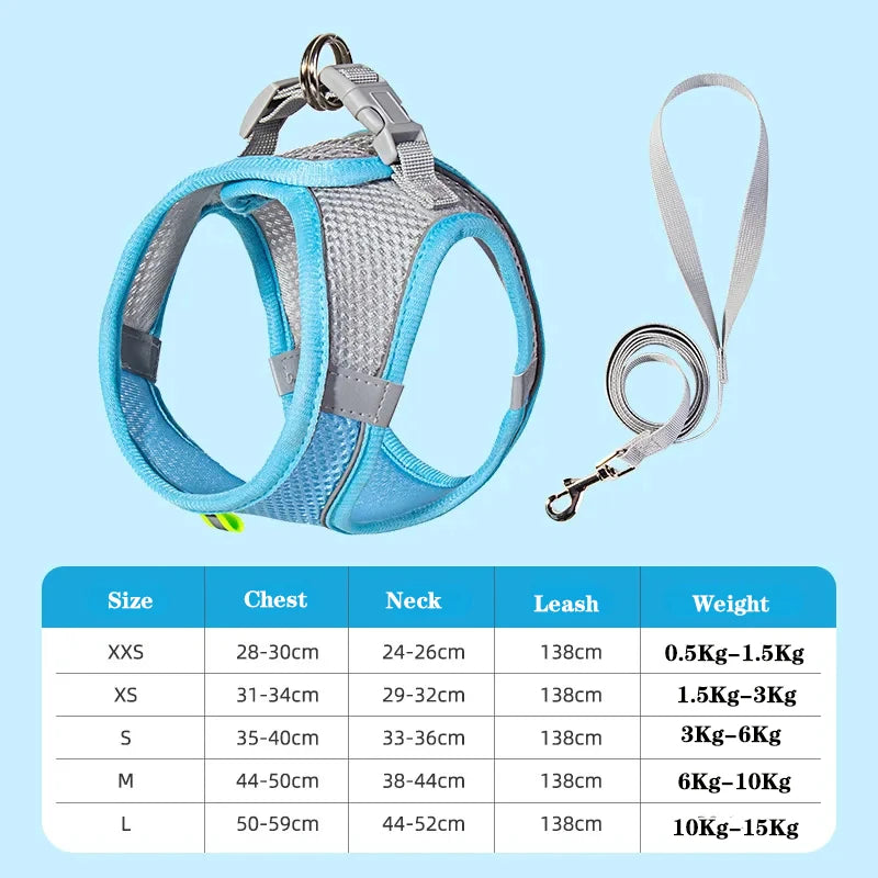 Dog Harness & Leash Set