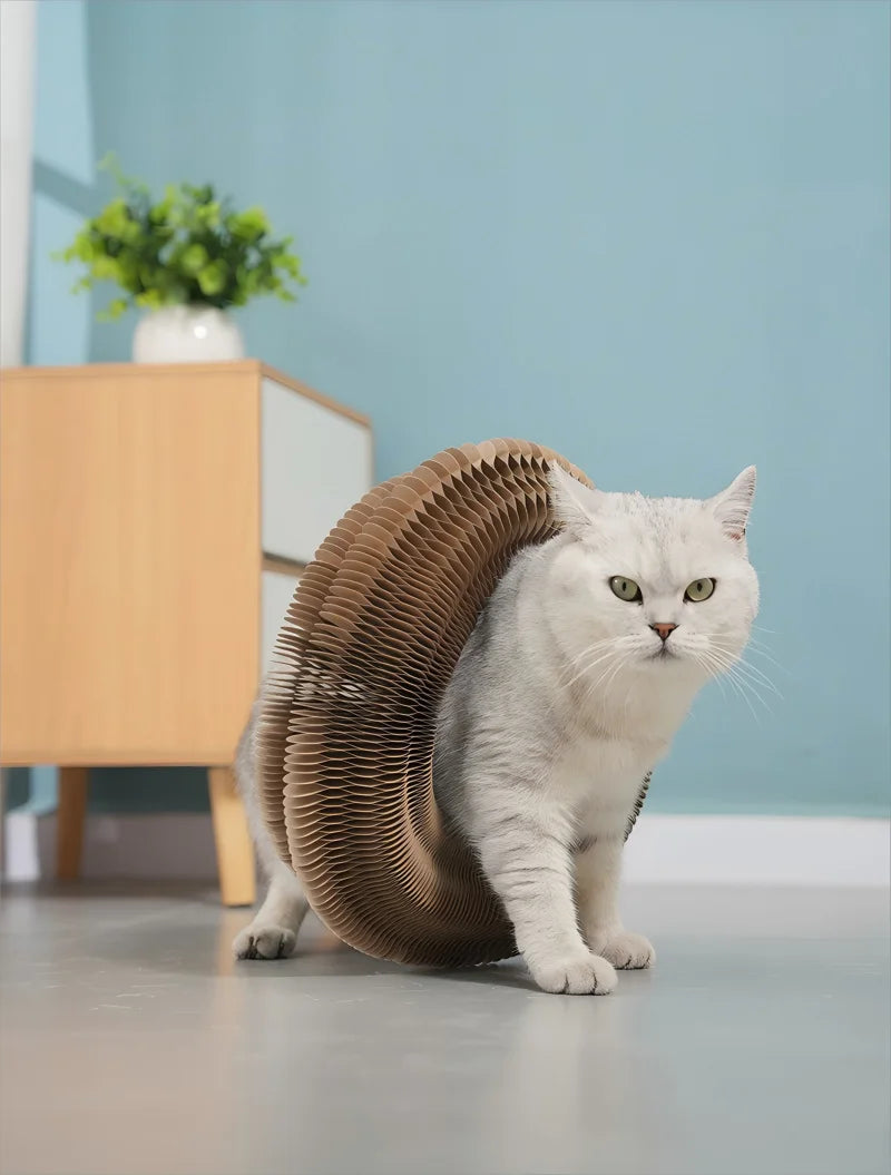 Foldable Magic Curl Cat Scratcher