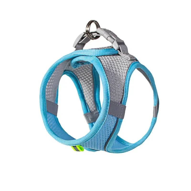 Dog Harness & Leash Set