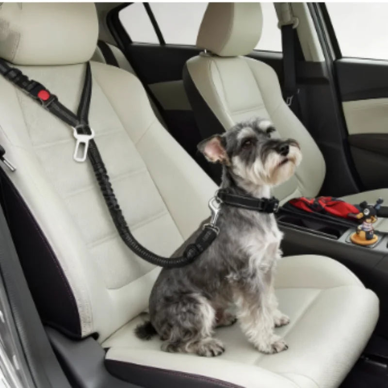 Reflective Pet Car Seat Belt