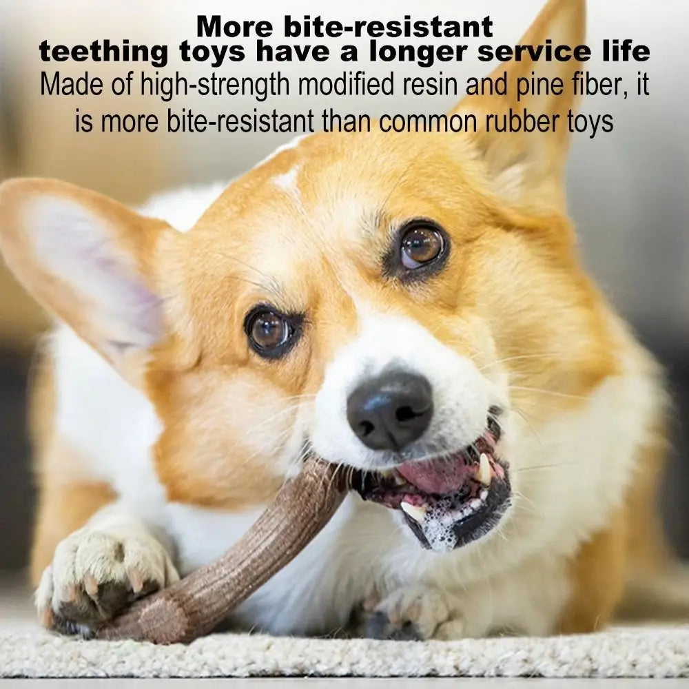 Natural Deer Antler Dog Chew