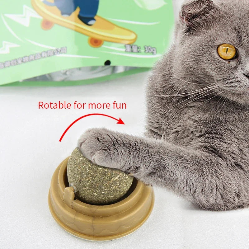 Rotating Cat Mint Wall Toy