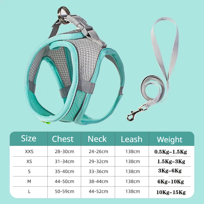 Dog Harness & Leash Set