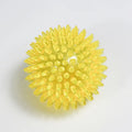 TPR Squeaky Dental Chew Ball