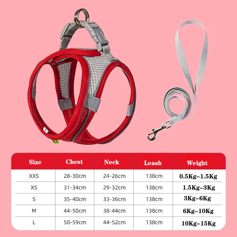 Dog Harness & Leash Set