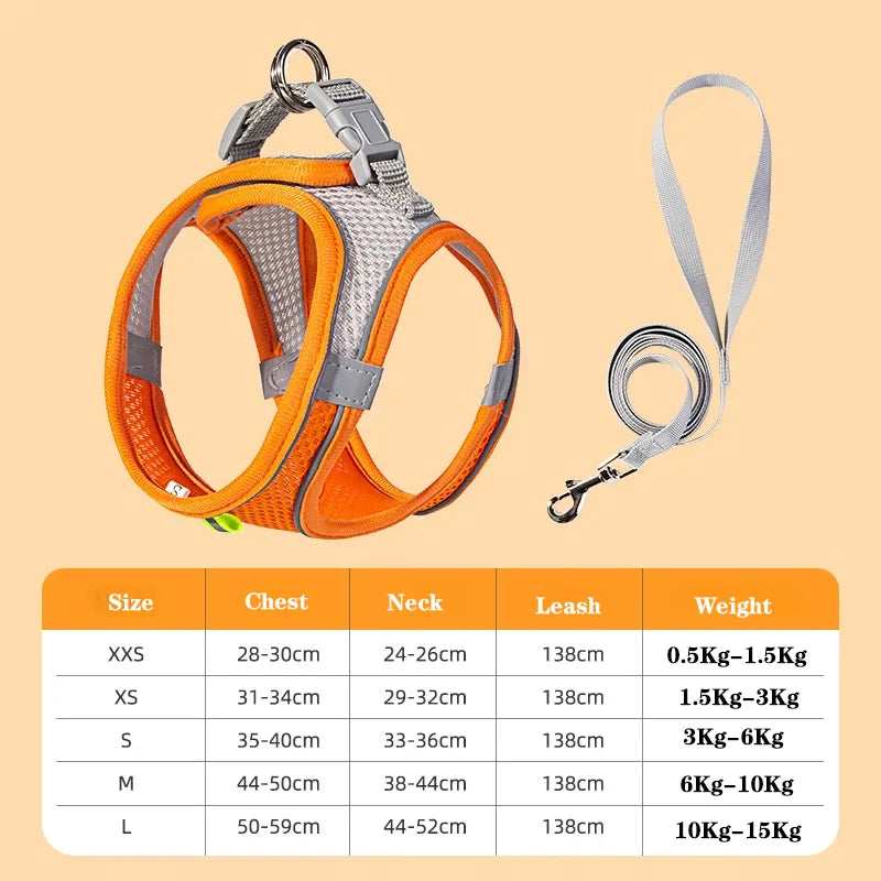 Dog Harness & Leash Set