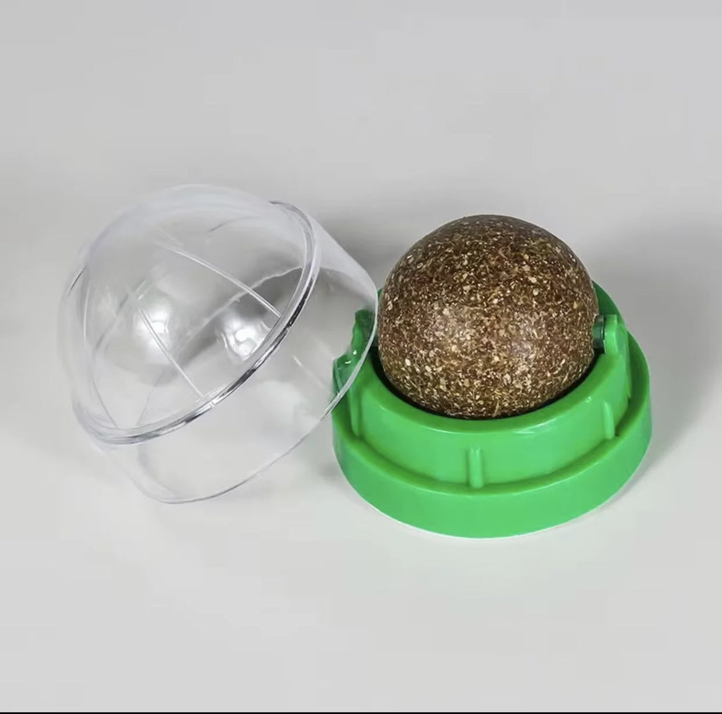 Rotating Cat Mint Wall Toy