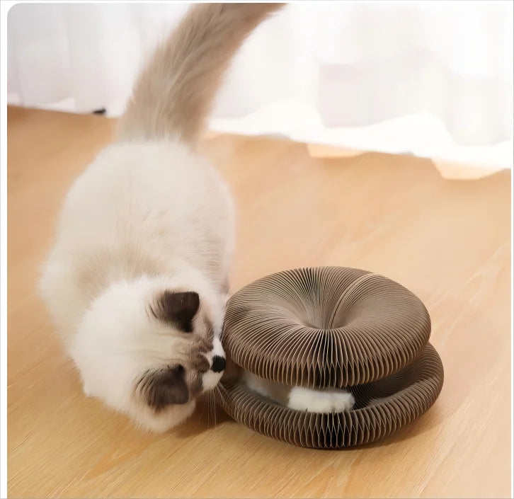 Foldable Magic Curl Cat Scratcher