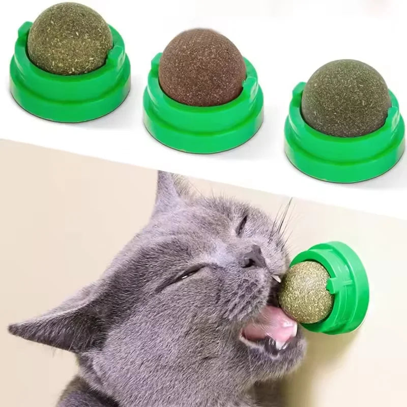 Rotating Cat Mint Wall Toy
