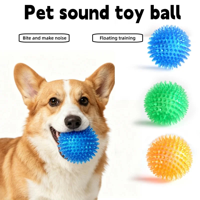 TPR Squeaky Dental Chew Ball