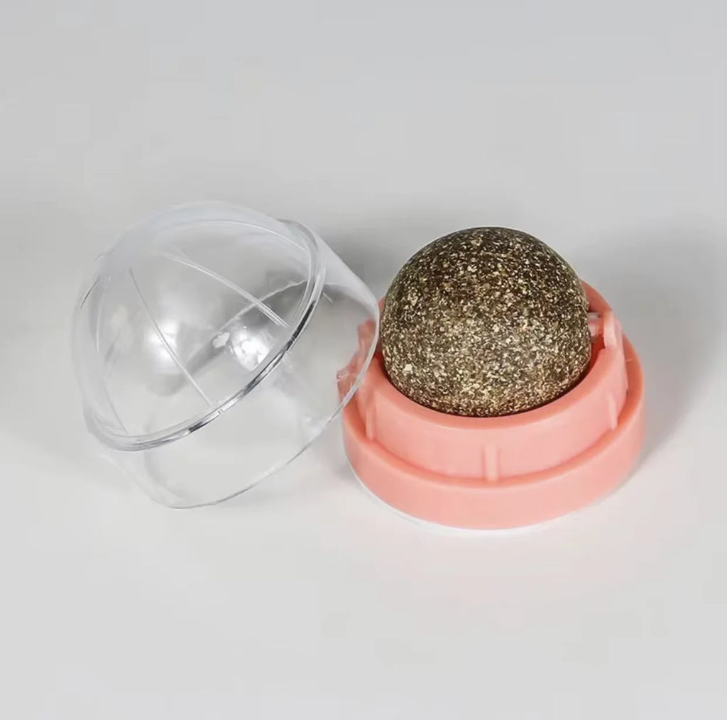 Rotating Cat Mint Wall Toy