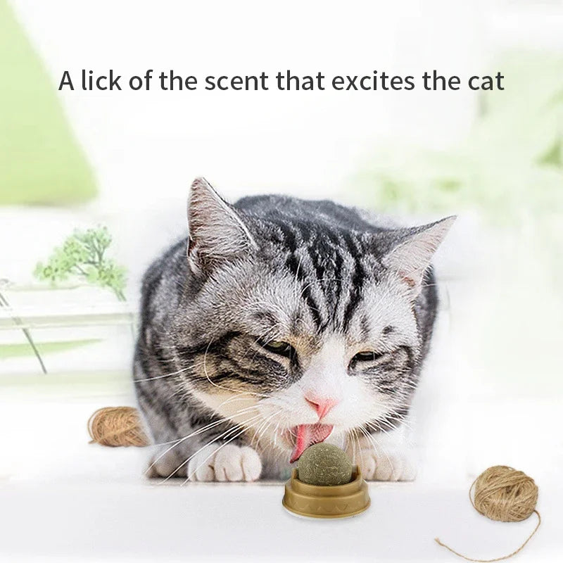 Rotating Cat Mint Wall Toy
