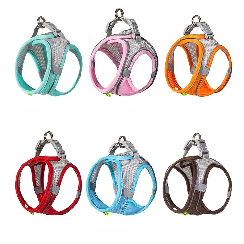 Dog Harness & Leash Set