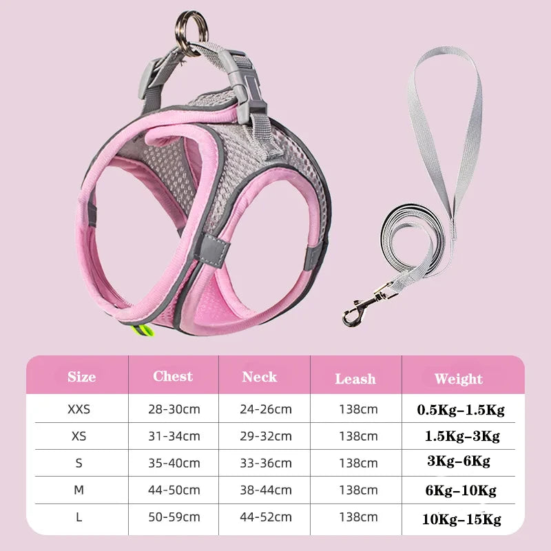 Dog Harness & Leash Set