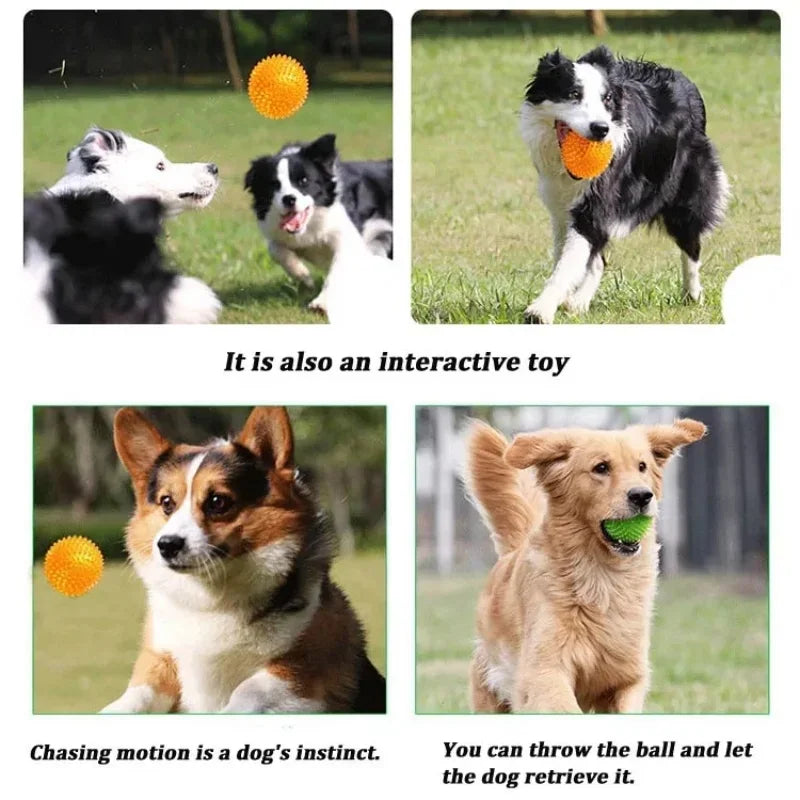 TPR Squeaky Dental Chew Ball