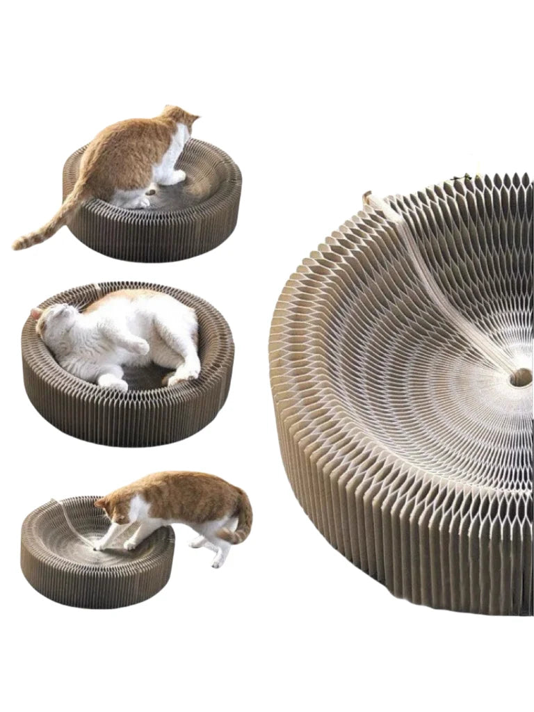 Foldable Magic Curl Cat Scratcher
