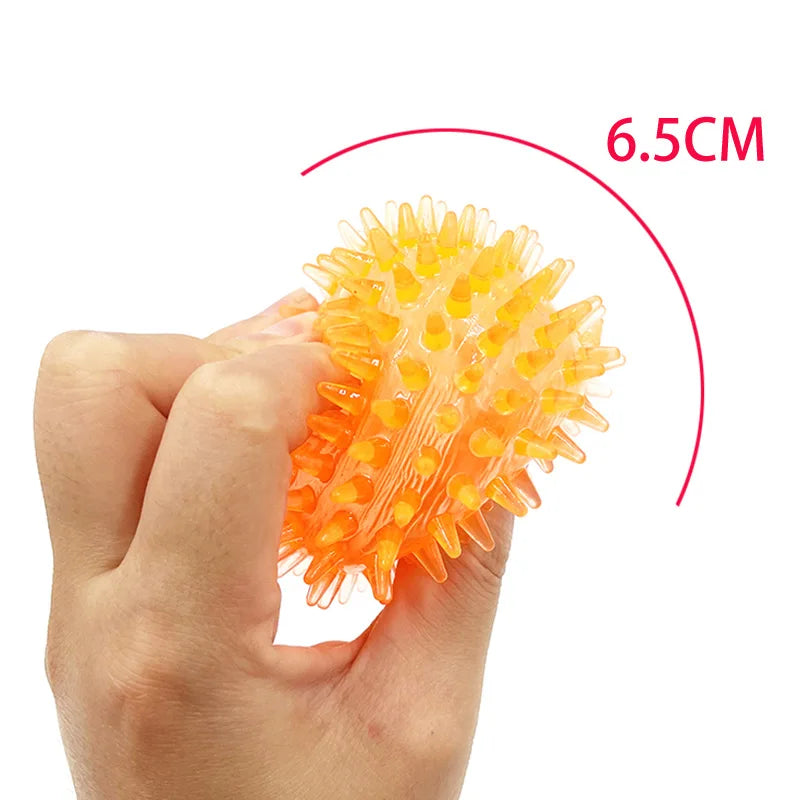 TPR Squeaky Dental Chew Ball