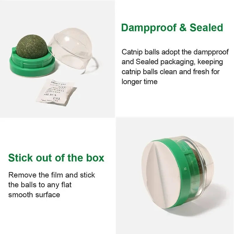 Rotating Cat Mint Wall Toy