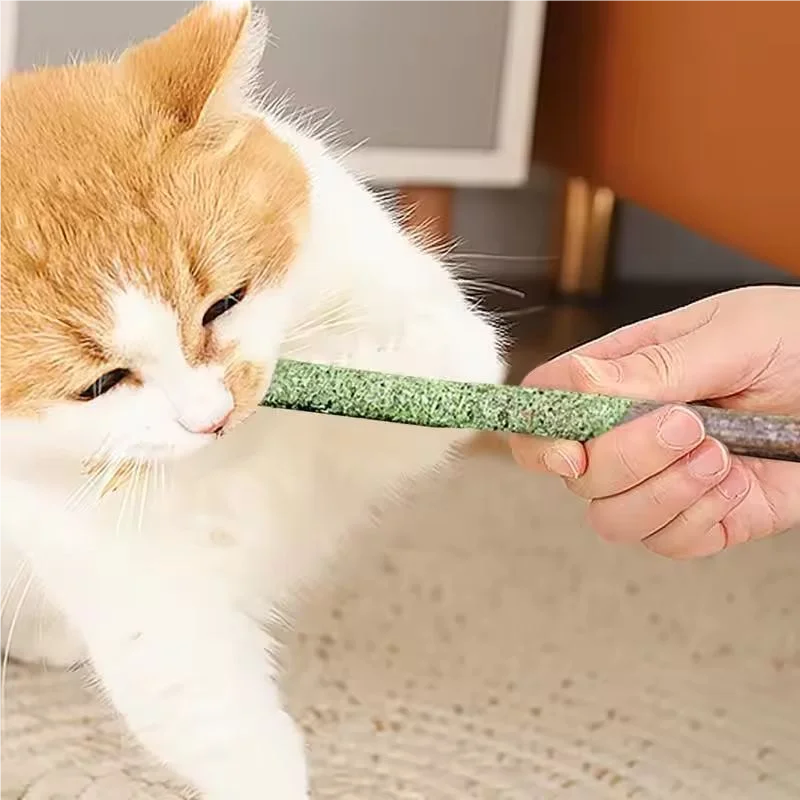6pcs Natural Matatabi Cat Stick Mint Caught Bite Excited Rods Silvervine For Cat Teeth Cleaning Treating Pet Supply Cat Toys