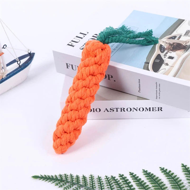 Braided Cotton Rope Dog Toy