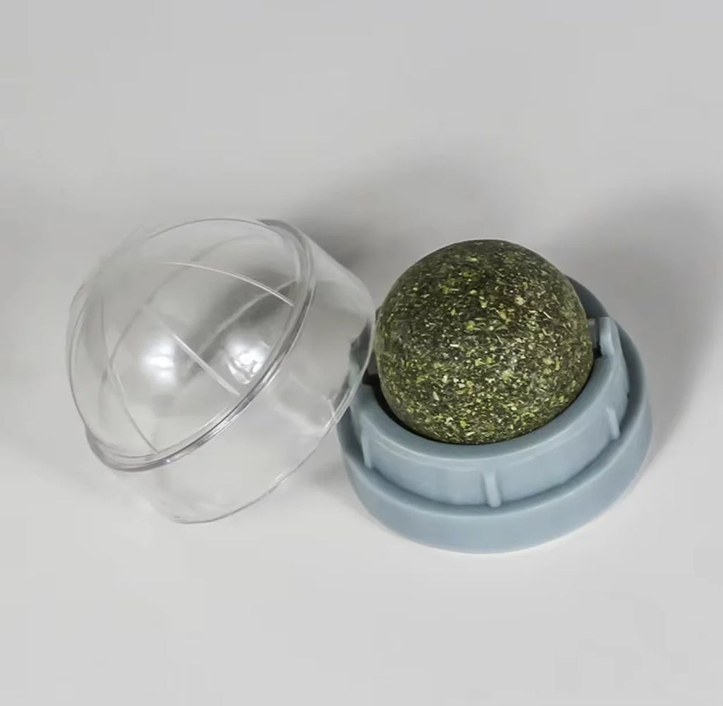 Rotating Cat Mint Wall Toy