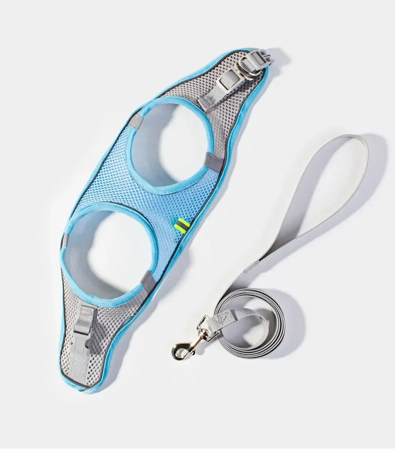 Dog Harness & Leash Set