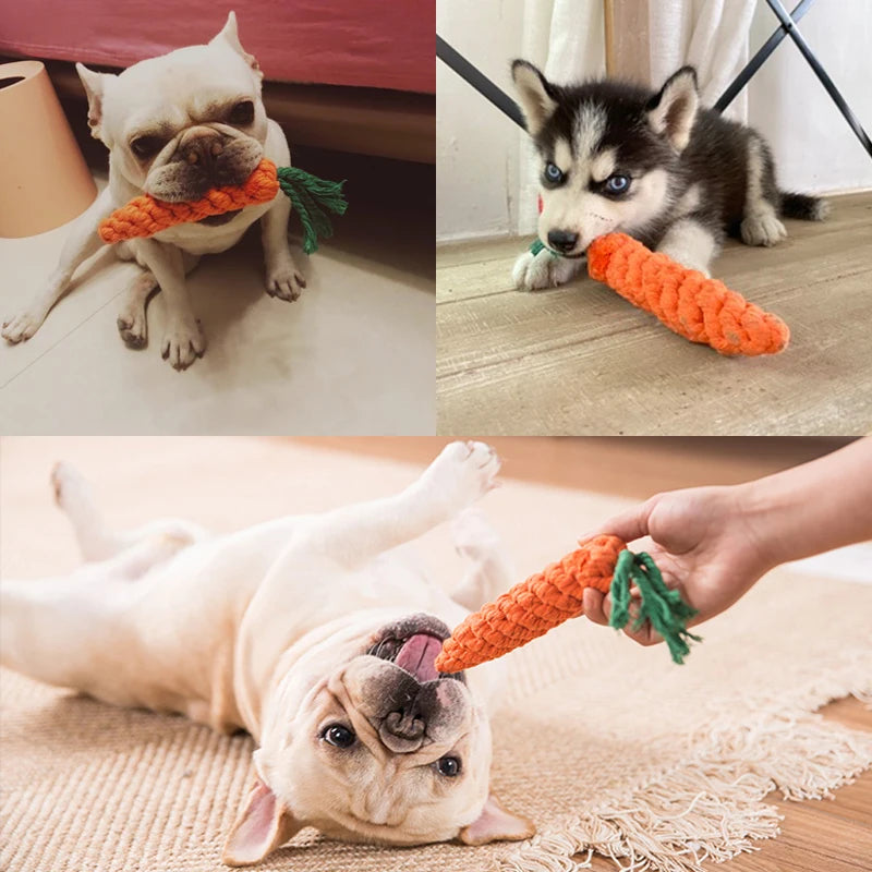 Braided Cotton Rope Dog Toy