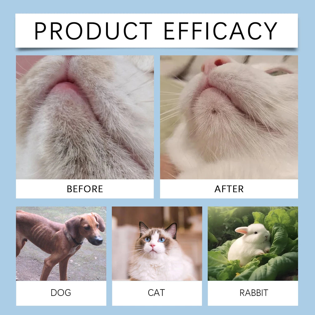 2-in-1 Pet Chin & Dental Care Kit Blackhead Chin Clean Lotion Tartar Oral Fresh Breath Oral Hygiene Dog Cat Tooth Stain Remover