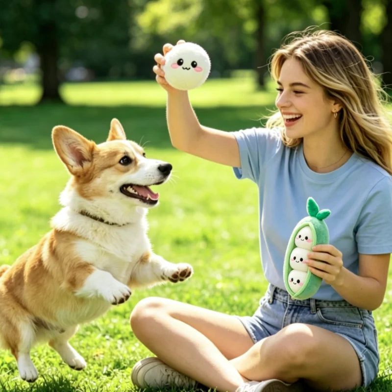 Squeaky Sausage Plush Dog Toy