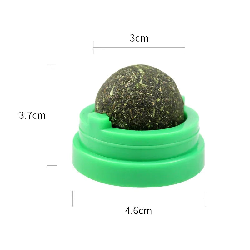 Rotating Cat Mint Wall Toy