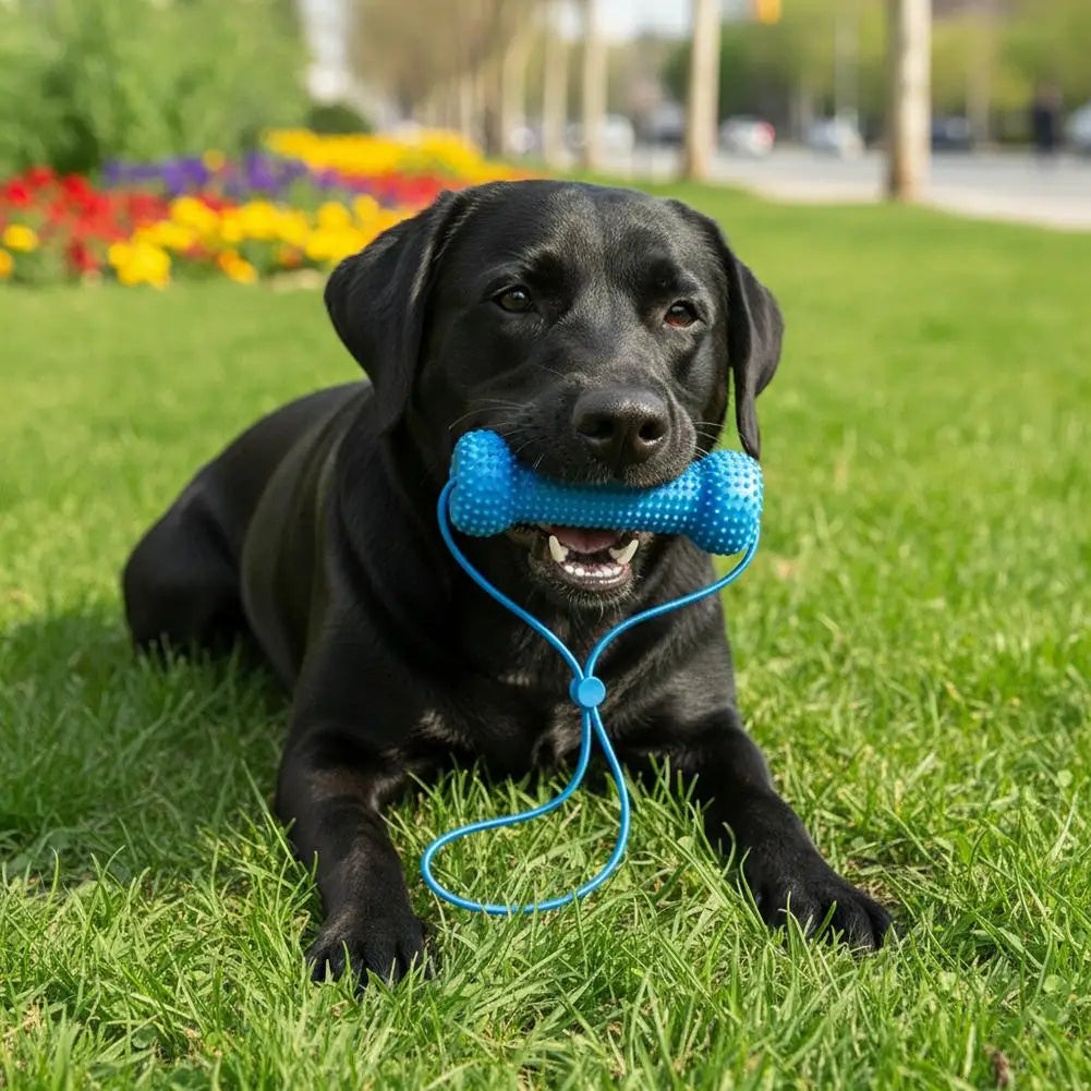 Dog Dental Brushing Aid