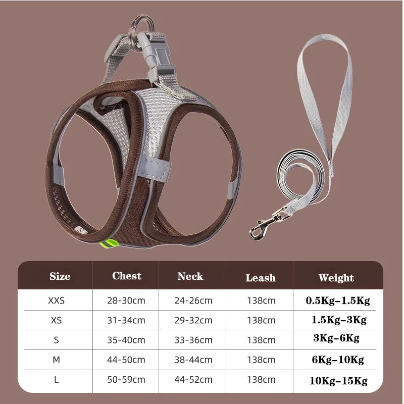 Dog Harness & Leash Set