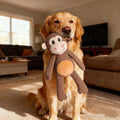 Long-Legged Squeaky Monkey Dog Toy