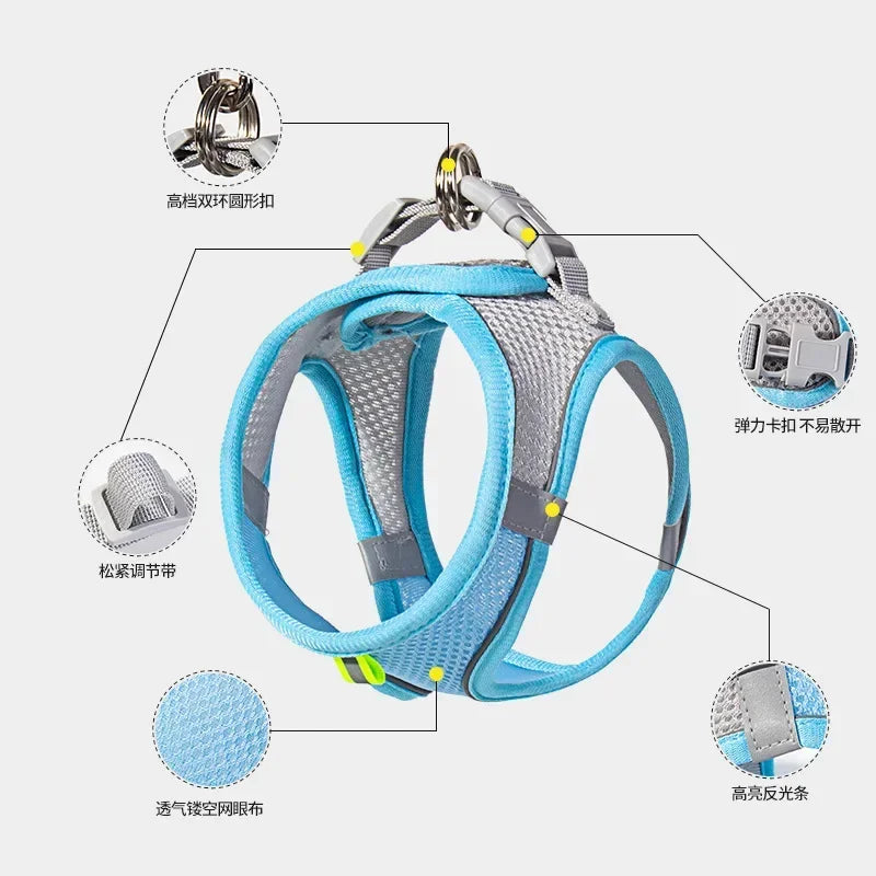 Dog Harness & Leash Set