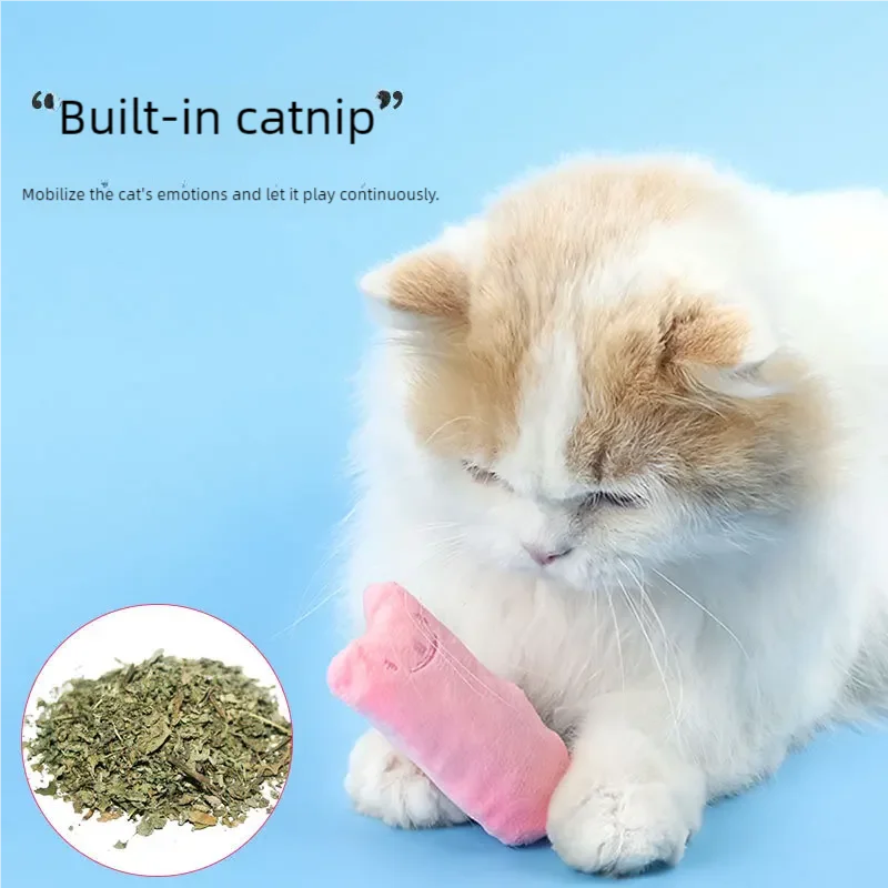 Catnip Dental Plush Toy