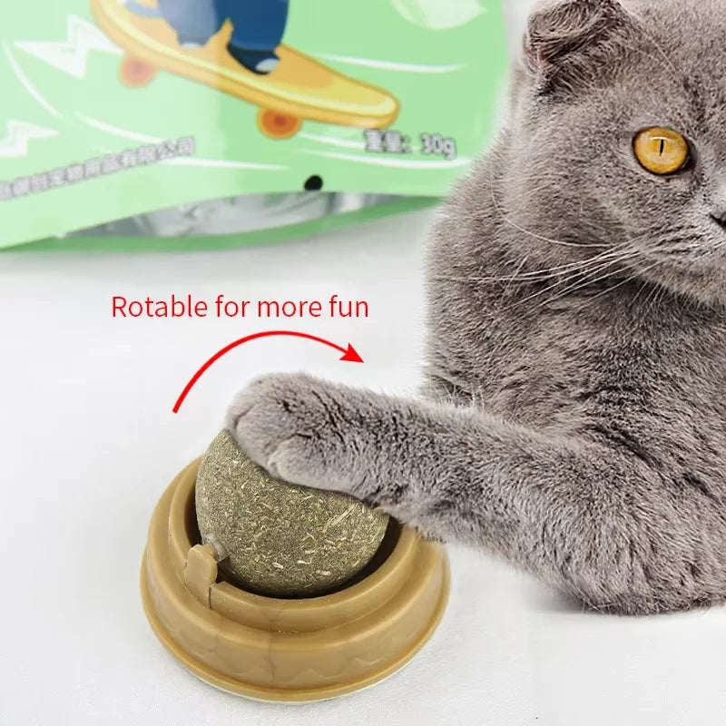 Rotating Cat Mint Wall Toy