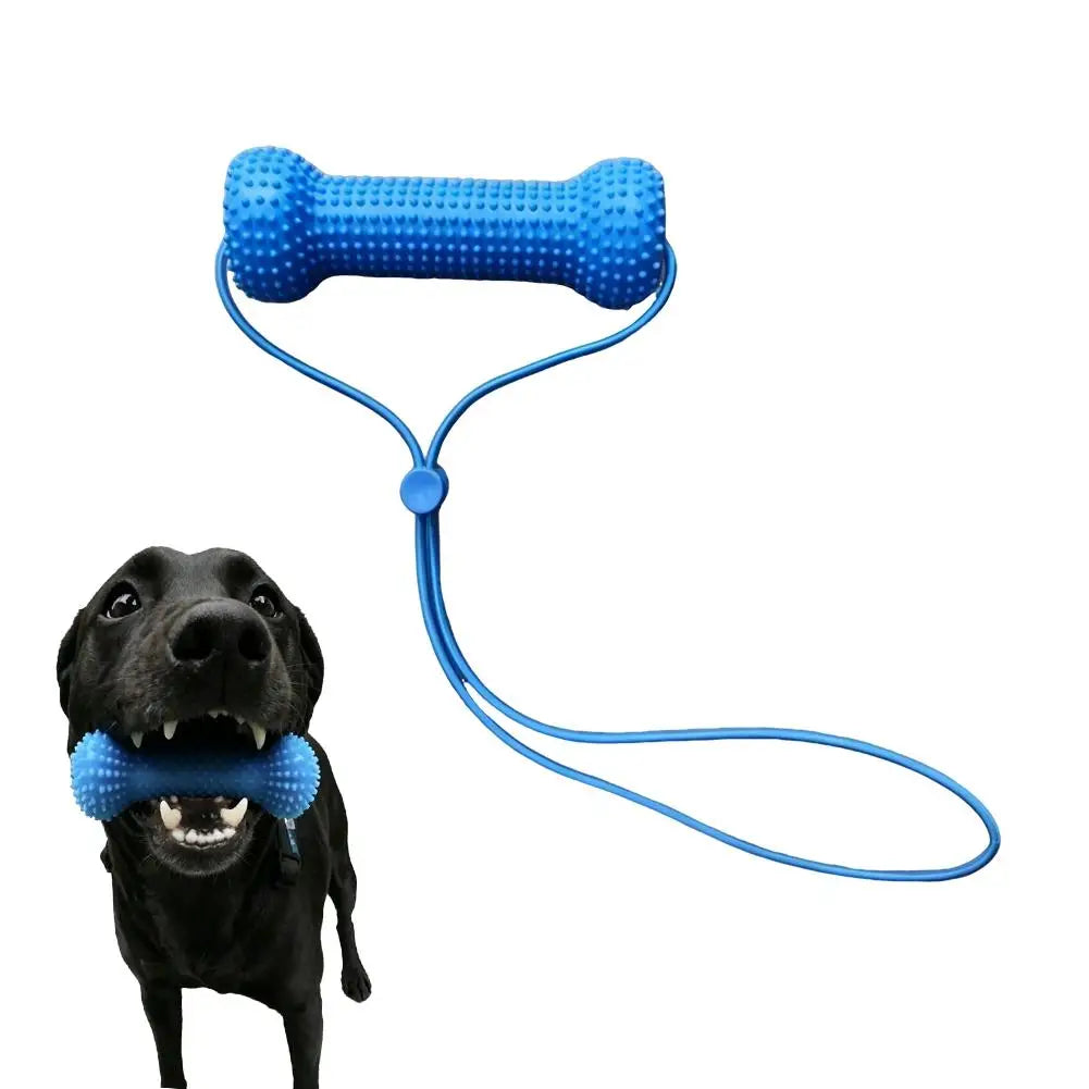Dog Dental Brushing Aid