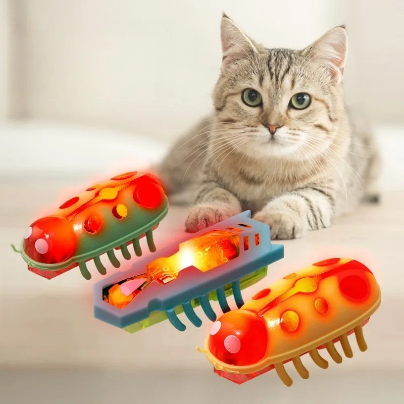 Mini Electric Ladybug Cat Toy