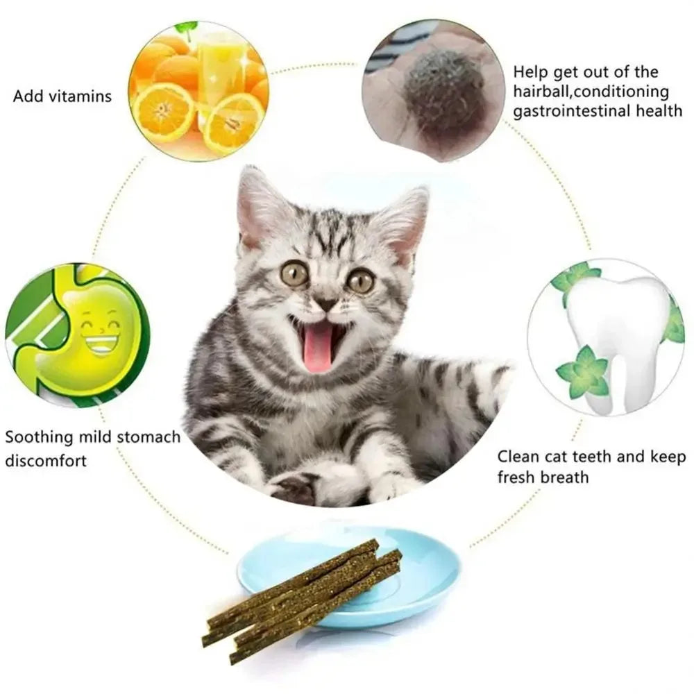 Natural Silvervine Cat Chew Stick