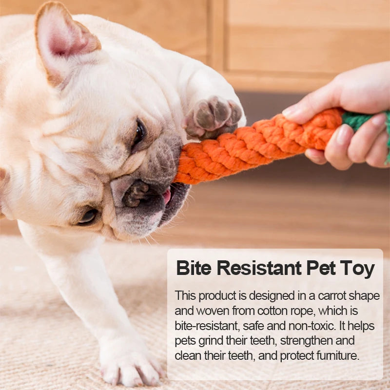 Braided Cotton Rope Dog Toy