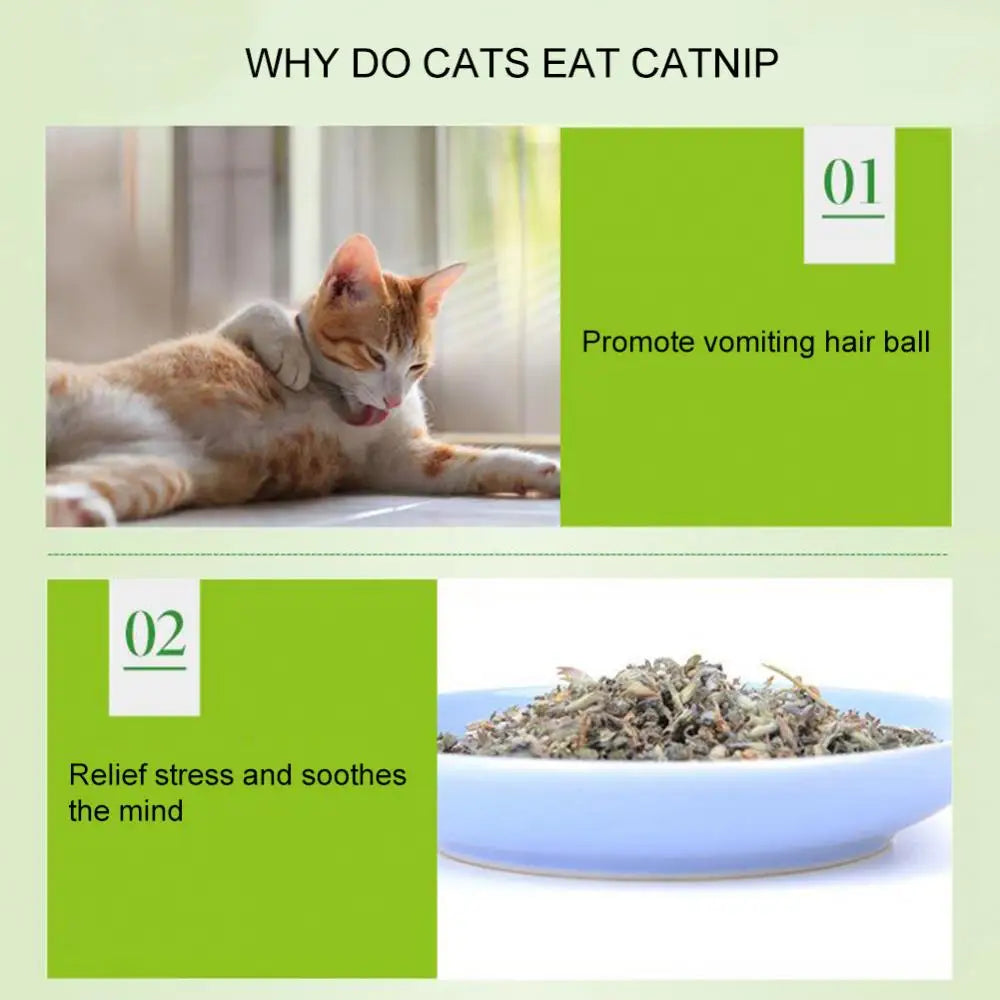 Natural Catnip Powder for Cats