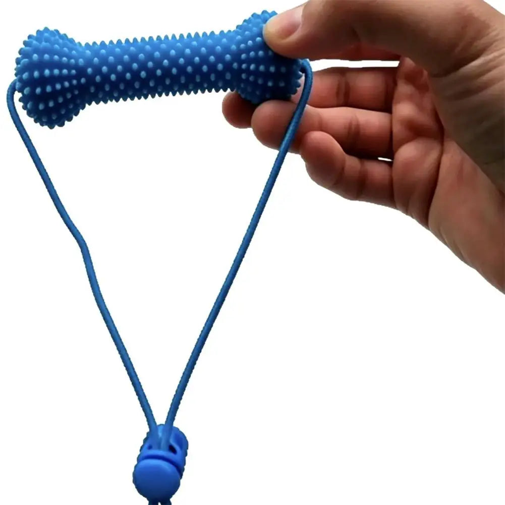 Dog Dental Brushing Aid