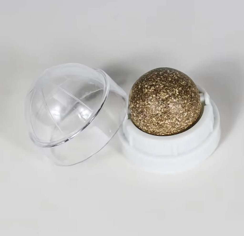 Rotating Cat Mint Wall Toy