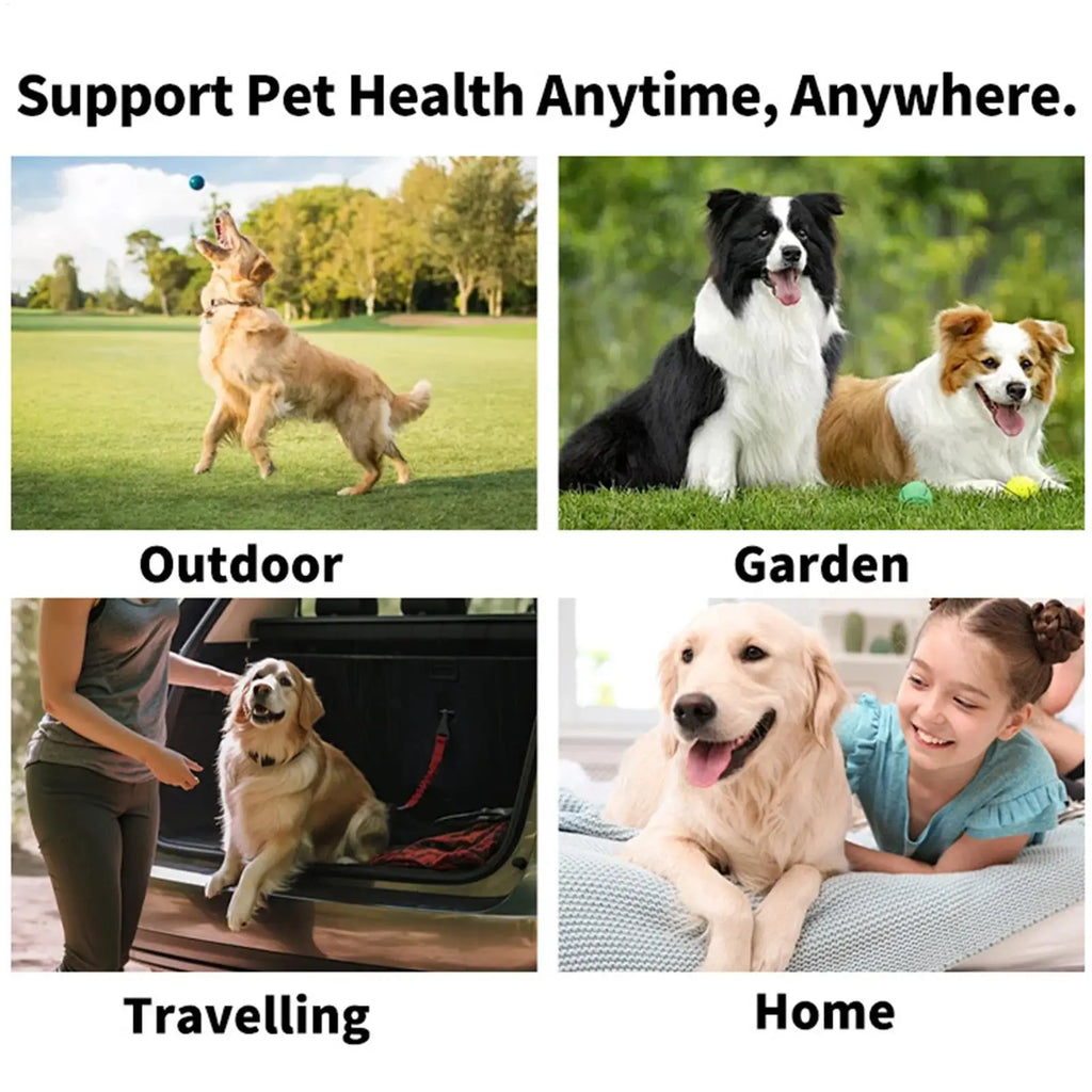 Pet Finger Toothbrush Wipes
