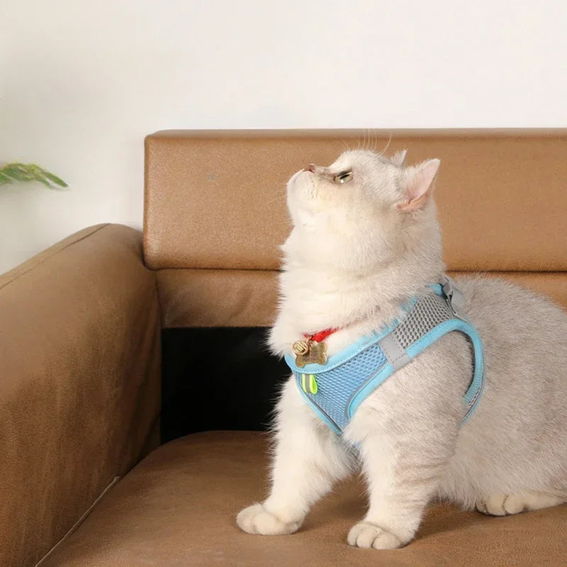 Dog Harness & Leash Set