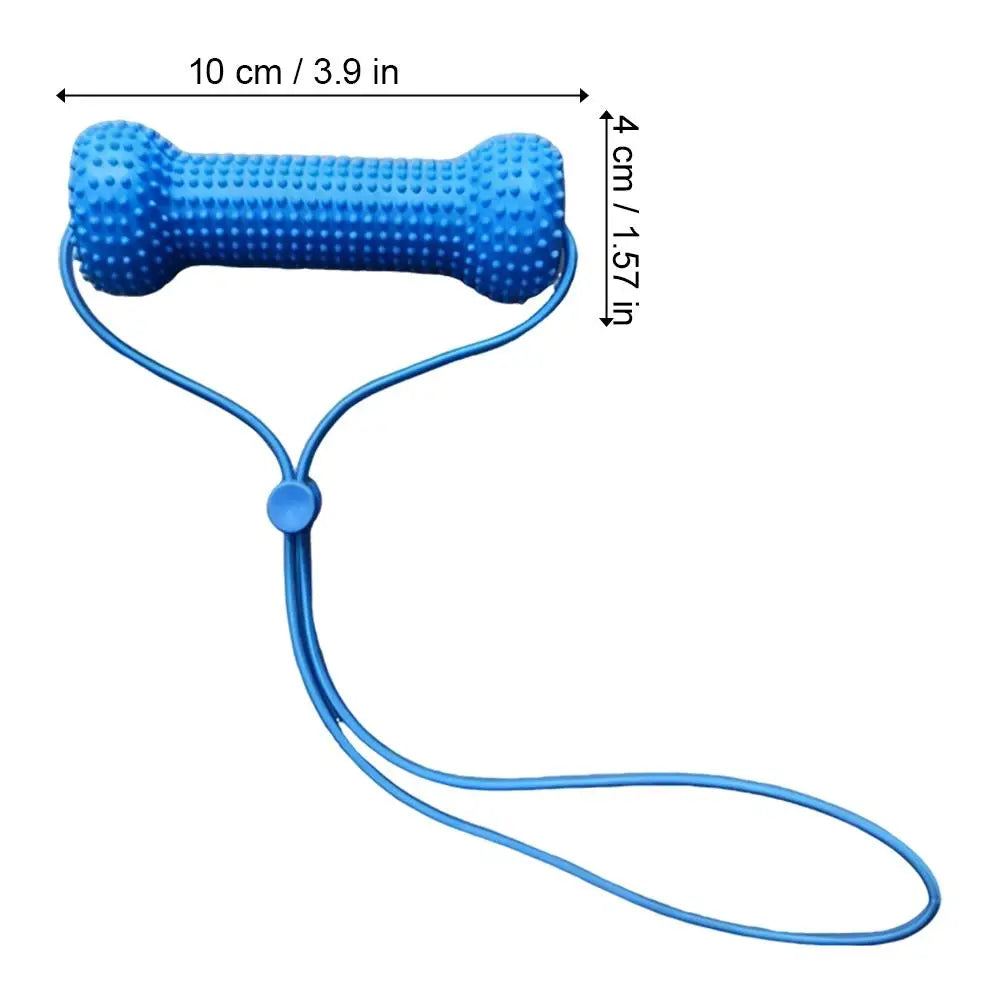 Dog Dental Brushing Aid