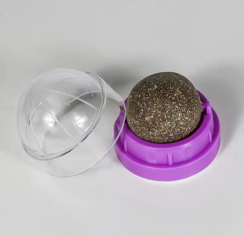 Rotating Cat Mint Wall Toy