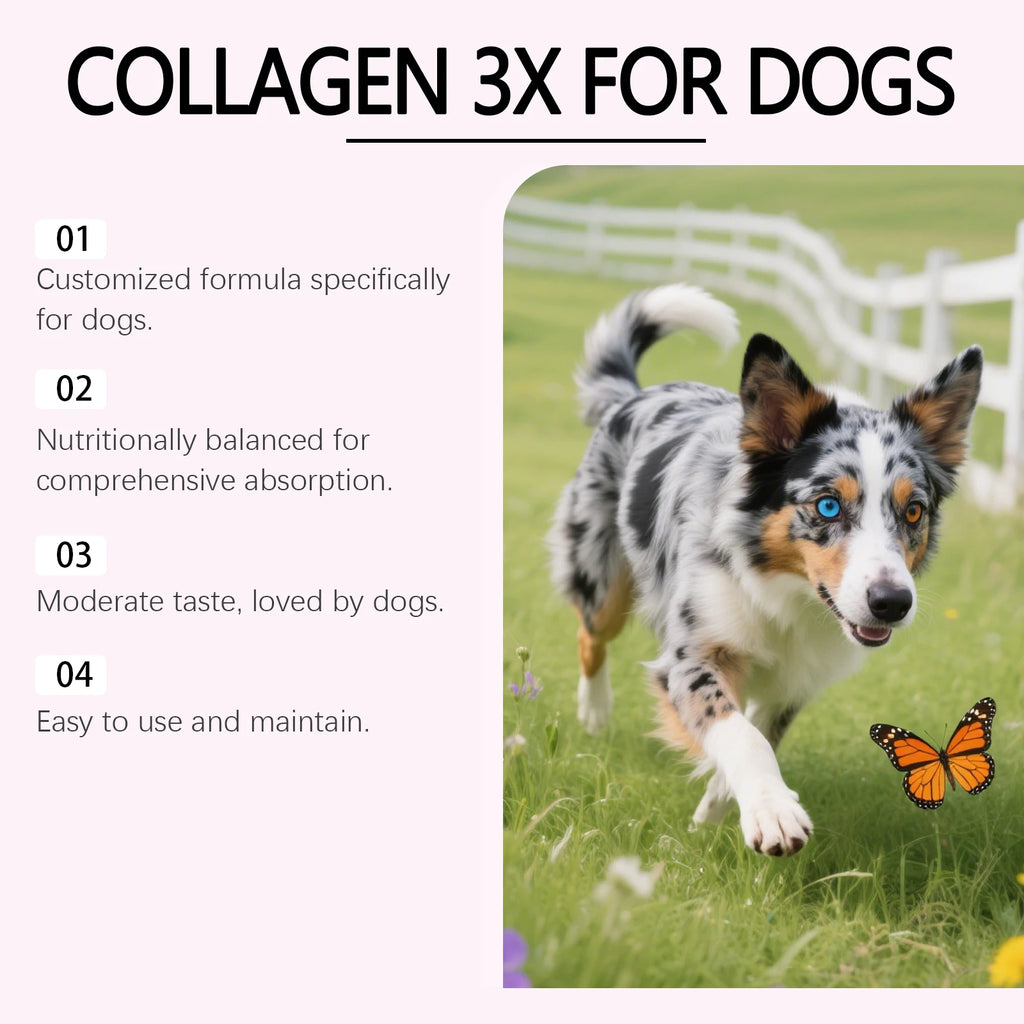 Dog Collagen Nutritional Drops