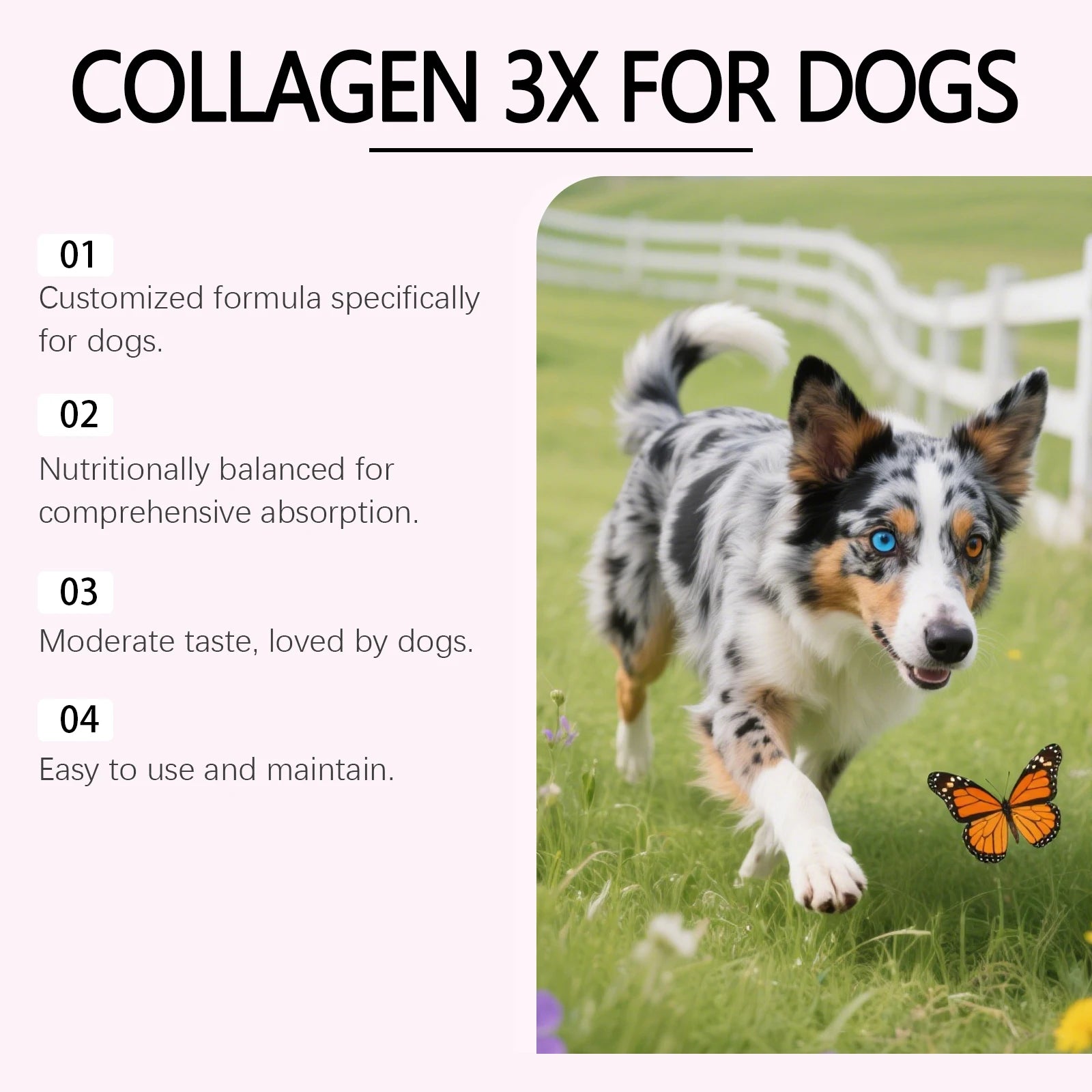 Dog Collagen Nutritional Drops