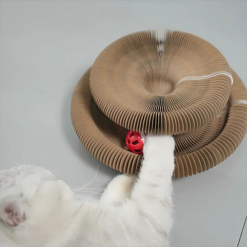 Foldable Magic Curl Cat Scratcher